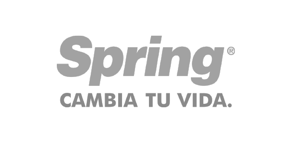 Logo Spring PNG